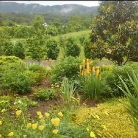 Permaculture Landscaping Services & Solutions in Asheville, NC