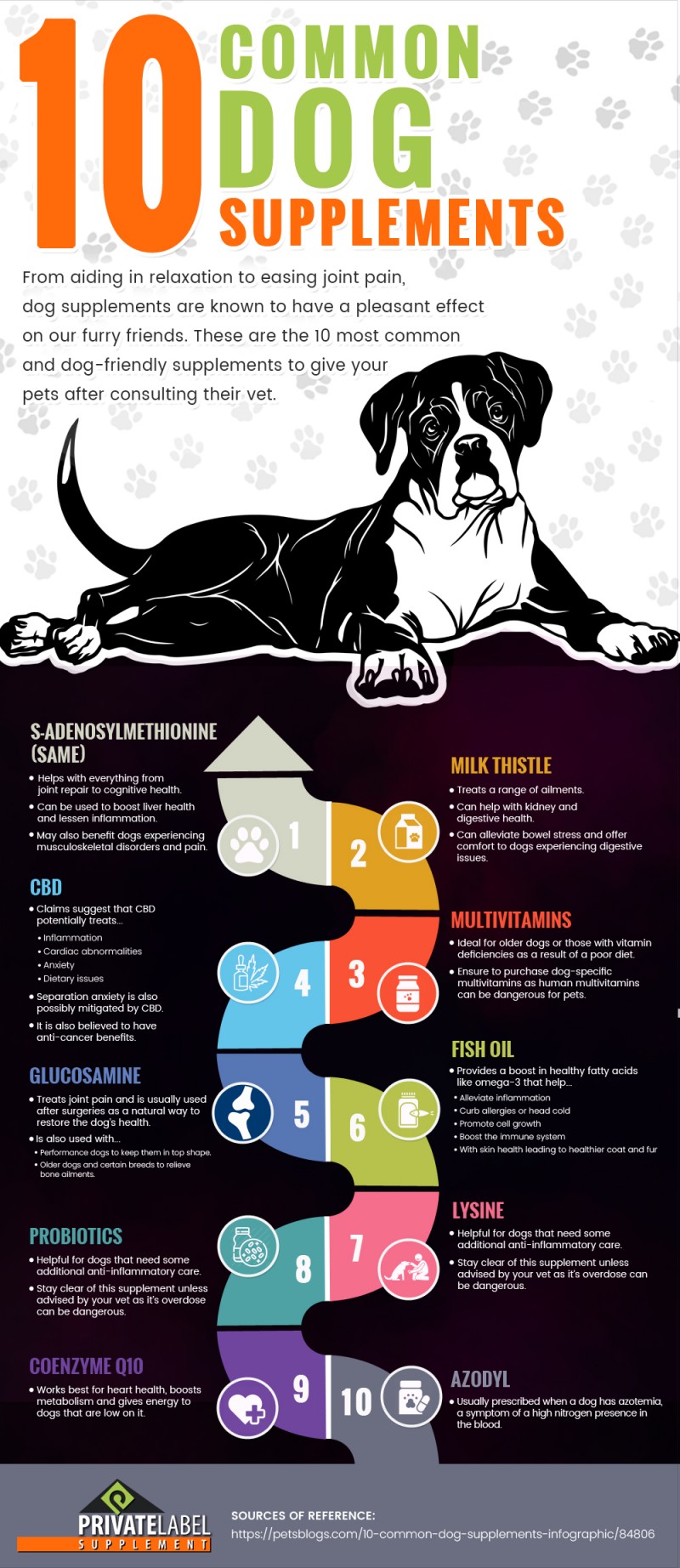 10 Common Dog Supplements
