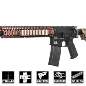 Airsoft GI Custom M4 Executioner GBBR Airsoft Gun