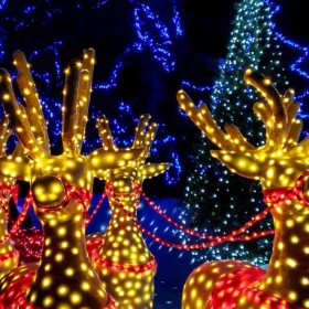 Light Show In Kansas City During Christmas