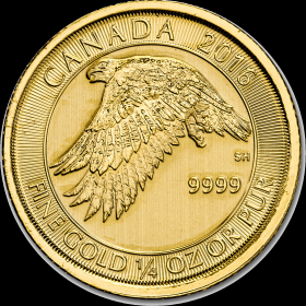 Gold Royal Canadian Mint Snow Falcon Coin