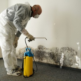 The experts in water and mold remediation services