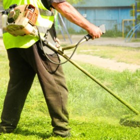 Get The Best Lawn Care In Fort Myers FL By Working With Professionals