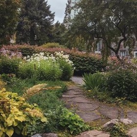Best Ecological Landscaping Services In Asheville, NC