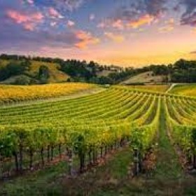 Exclusive Deals on Wine Tasting & Winery Tours in Scottsdale AZ