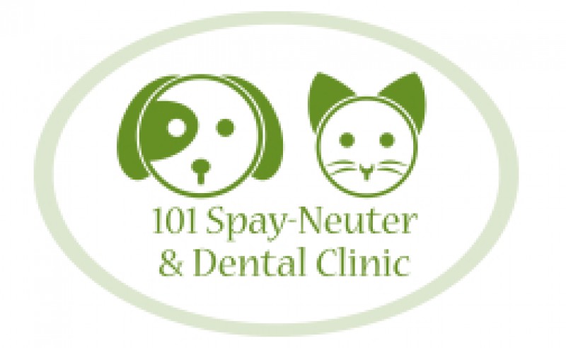101 Spay-Neuter & Dental Clinic - Make Your Appointment Today!