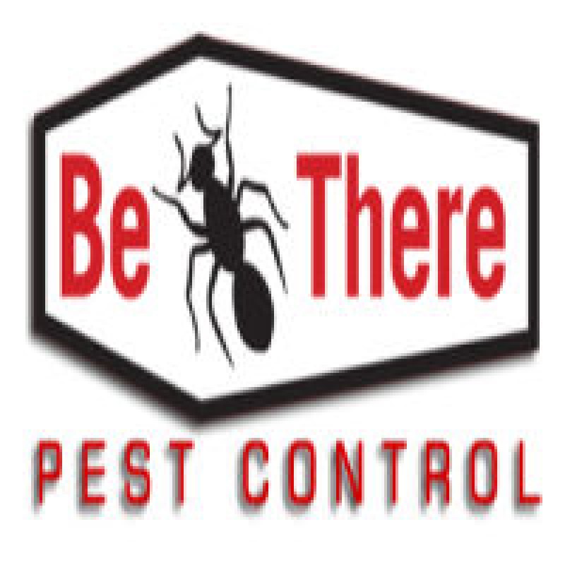 Get Reliable Carpenter Ant Prevention Service in Minneapolis