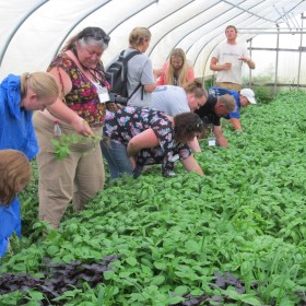 Beginning Farming Education And Training Program in Wisconsin