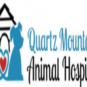 Providing Special Care For Your Pets