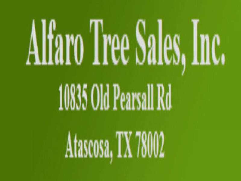 Need Tree Services in Dallas, TX?